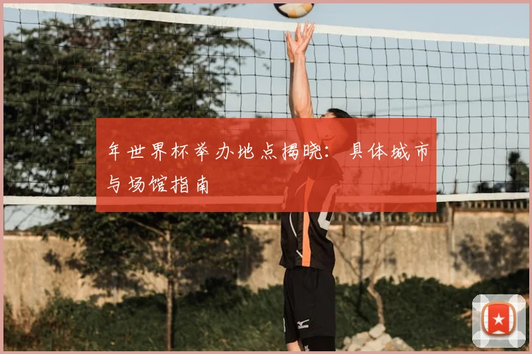年世界杯举办地点揭晓:具体城市与场馆指南
