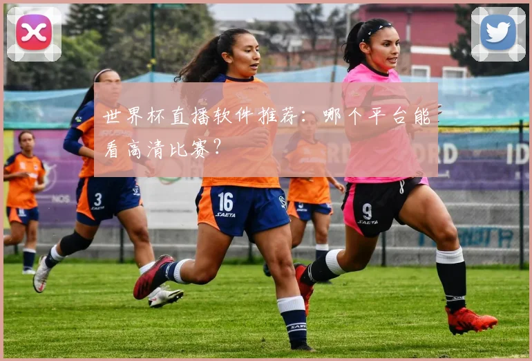 世界杯直播软件推荐：哪个平台能看高清比赛？