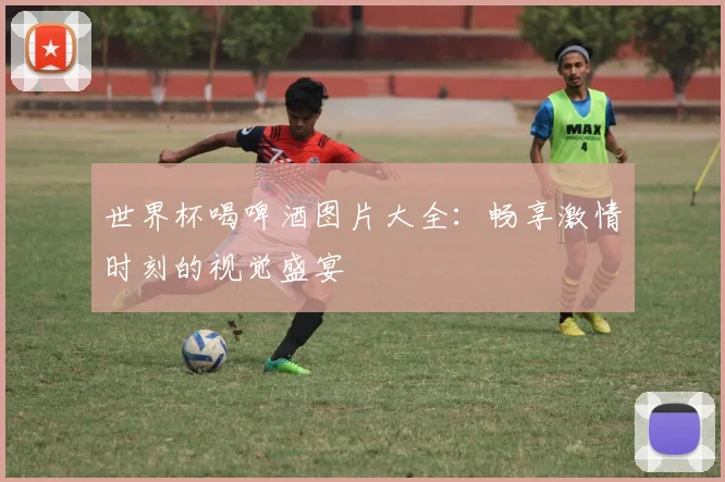 世界杯喝啤酒图片大全：畅享激情时刻的视觉盛宴