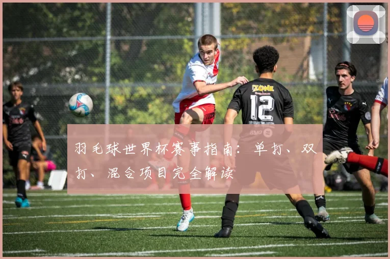 羽毛球世界杯赛事指南：单打、双打、混合项目完全解读