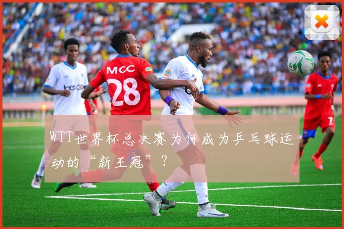 WTT世界杯总决赛为何成为乒乓球运动的“新王冠”？