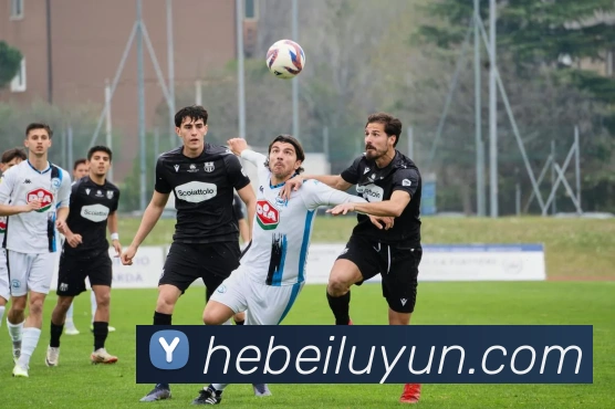 App Interface Preview